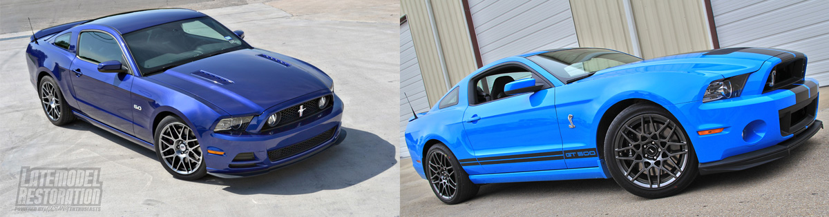 Mustang 50th Anniversary Shows