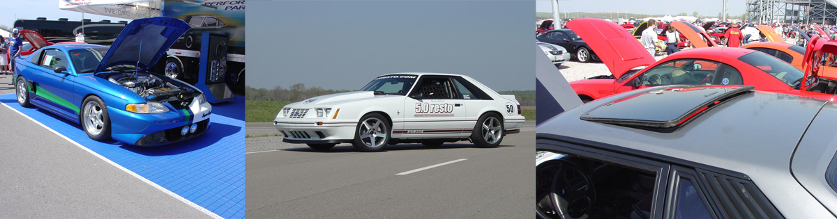 Mustang 50th Anniversary Shows